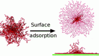 Adsorption of star polymers: computer simulations